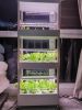 4 Layers 56 Holes Vertical Hydroponics Growing System with LED Light - 4 Layers 56 Holes