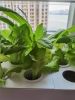 4 Layers 56 Holes Vertical Hydroponics Growing System with LED Light - 4 Layers 56 Holes