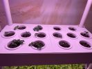 4 Layers 56 Holes Vertical Hydroponics Growing System with LED Light - 4 Layers 56 Holes