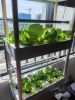 4 Layers 56 Holes Vertical Hydroponics Growing System with LED Light - 4 Layers 56 Holes